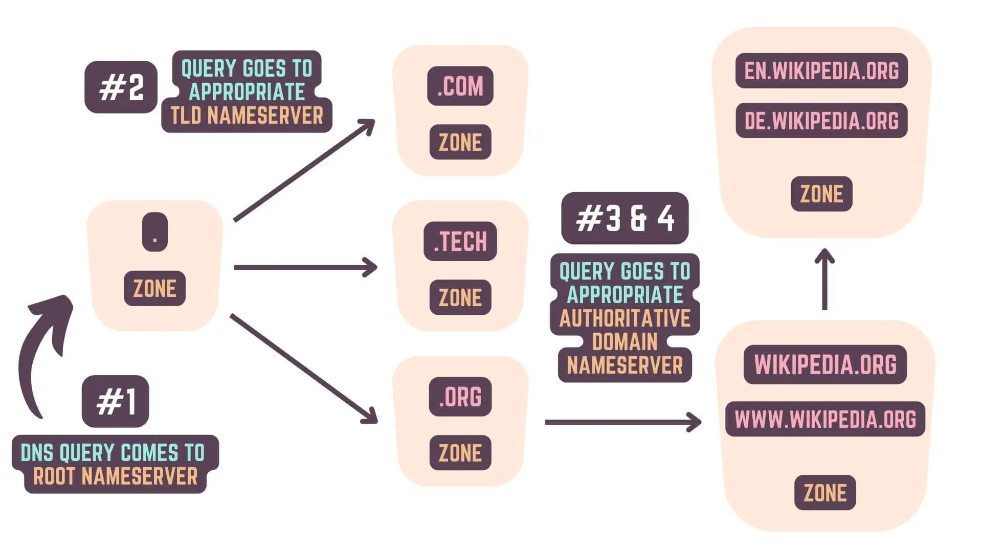 DNS Query Resolution - DNS Zones & DNS Zone Files - Web Development Basics