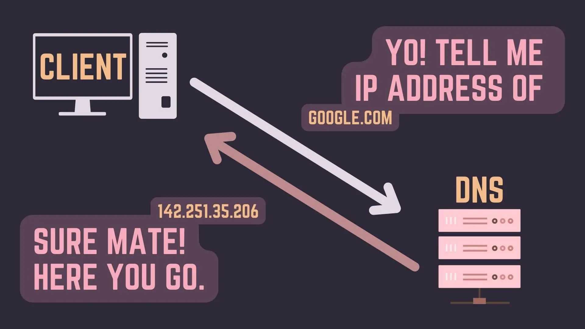 How IP Address and DNS (Domain Name System) Work Together - Basics Of Internet